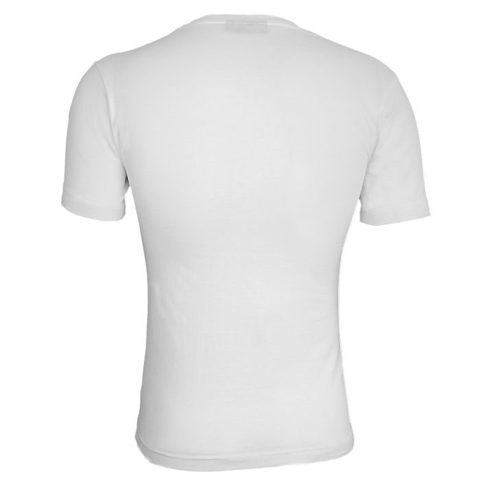 Hanes Herren T-Shirt Baumwolle Freizeit V-Auschnitt Kurzarm schwarz oder weiß